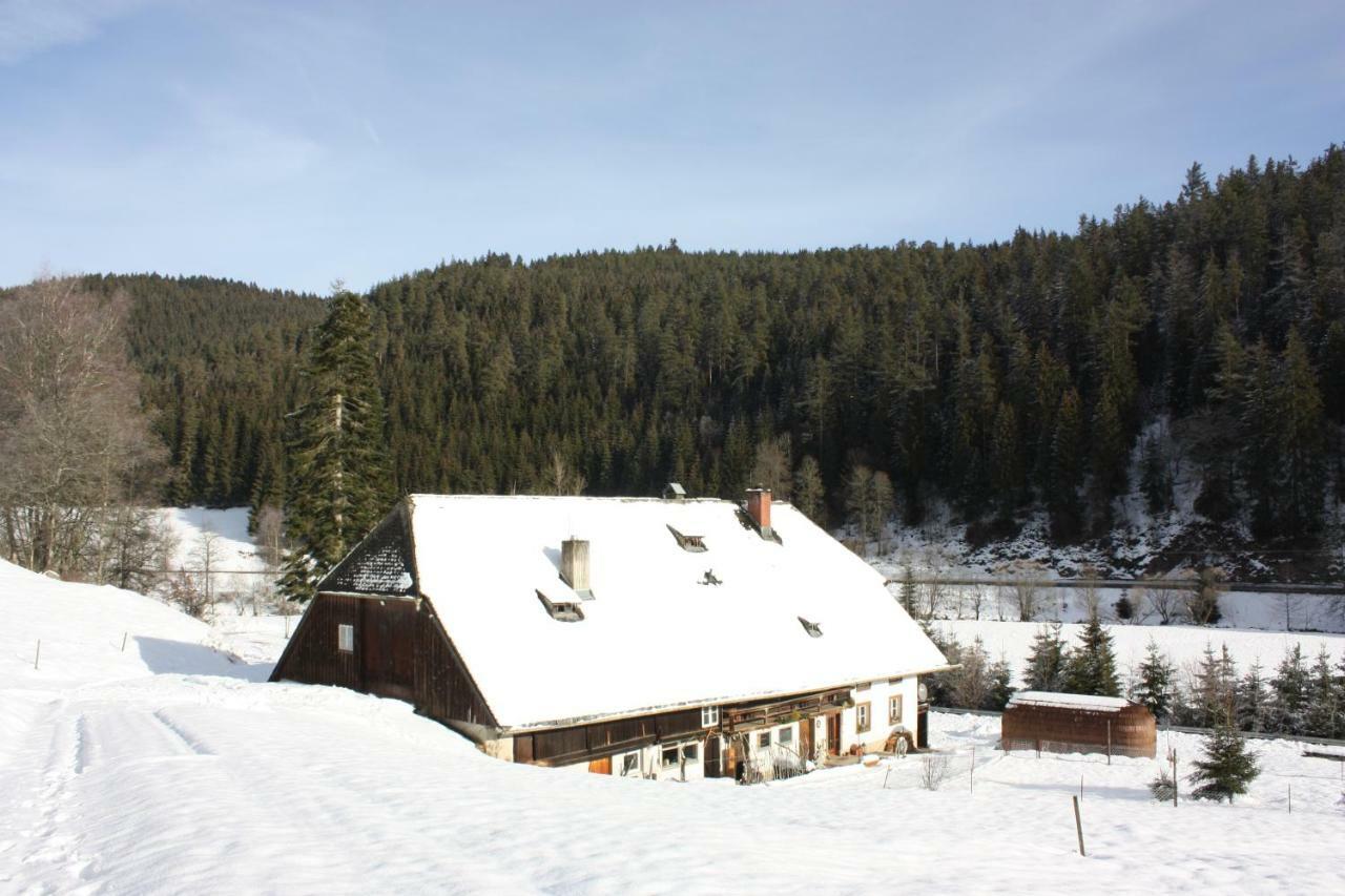 Igluhut Tiny House Winterberghof Ferienhaus Vöhrenbach